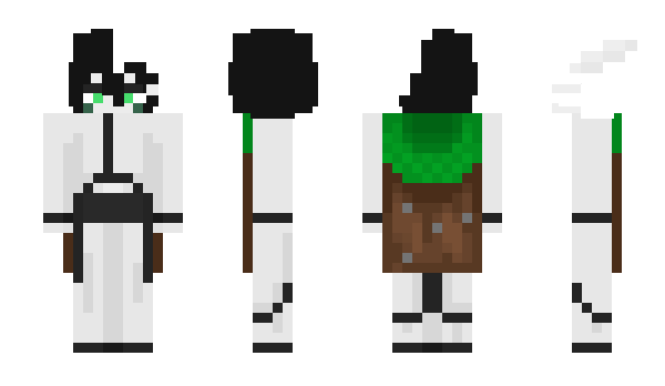 Minecraft skin WoahClash