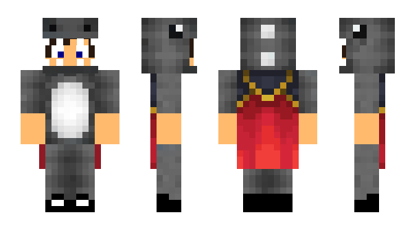 Minecraft skin SuperDF