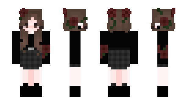 Minecraft skin hobisu