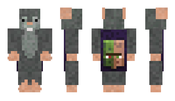 Minecraft skin 2842