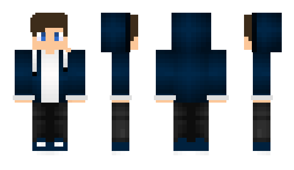 Minecraft skin Perfine