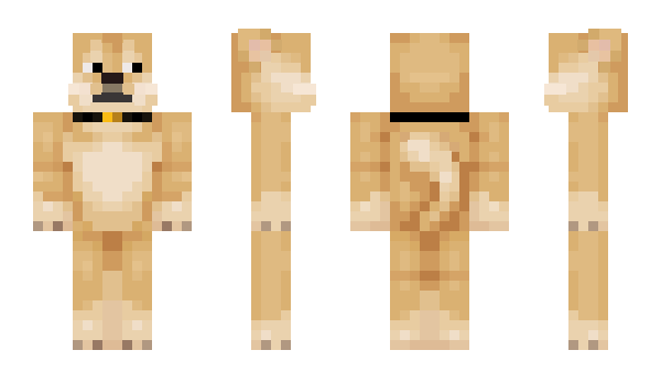 Minecraft скин по нику Erjc