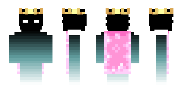 Minecraft skin polmc