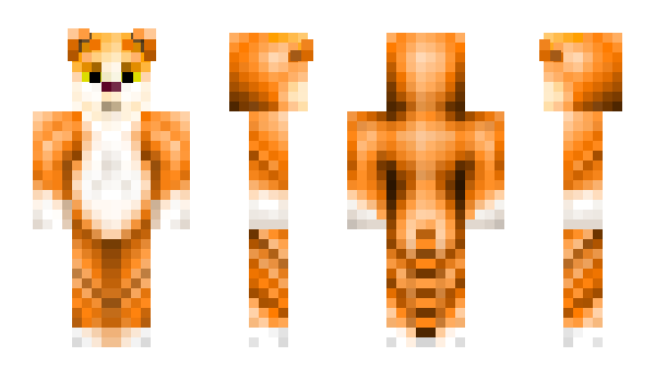 Minecraft skin OrangeCat