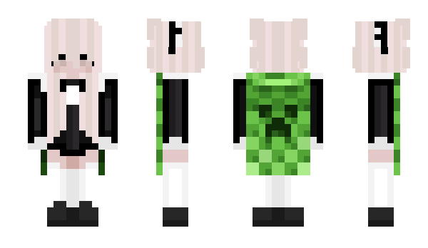 Minecraft skin Evolu