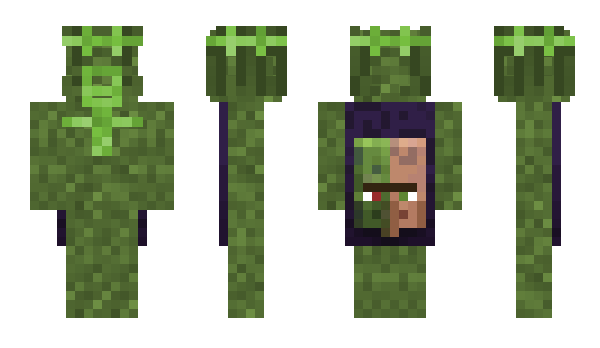 Minecraft skin Grassssssssssses