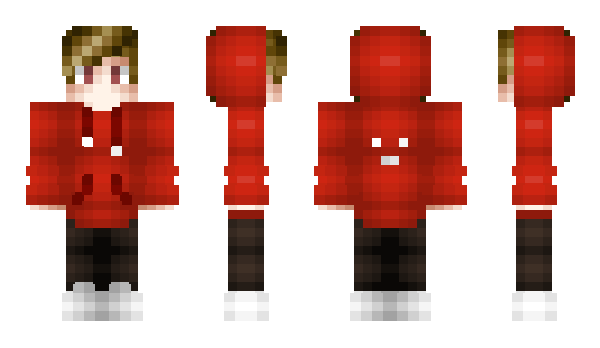 Minecraft skin Reflective