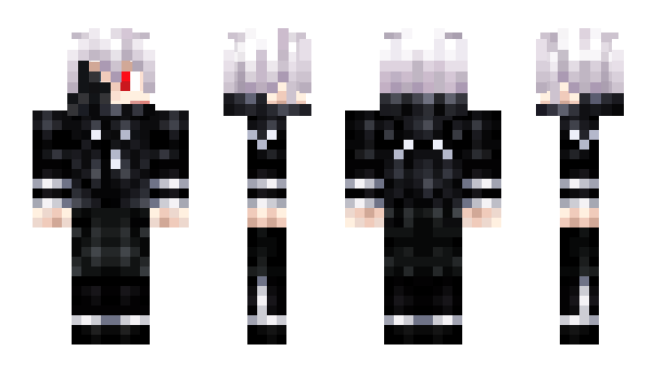Minecraft skin 2poz
