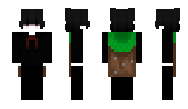 Minecraft skin ShanyReef