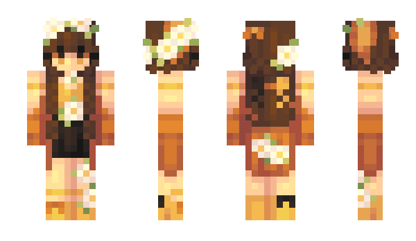 Minecraft skin AlchemistCami