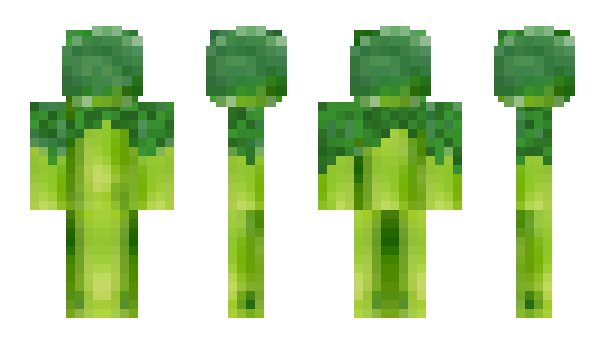 Minecraft skin Broccolis