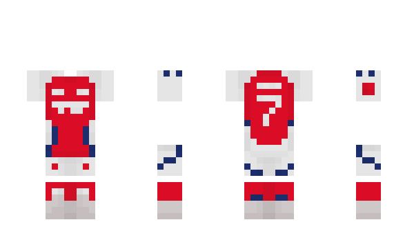Minecraft skin MegBog