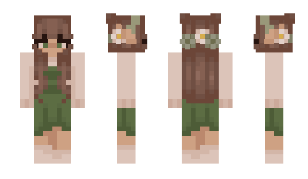 Minecraft skin sarer