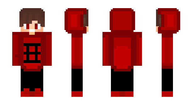 Minecraft skin _Back_