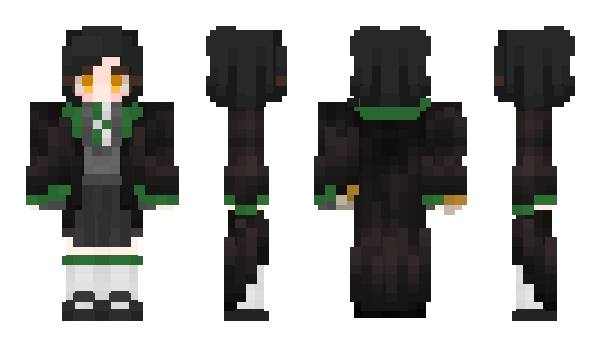 Minecraft skin paiige