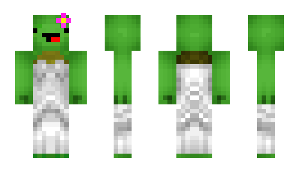 Minecraft skin Rolnik_Stefan