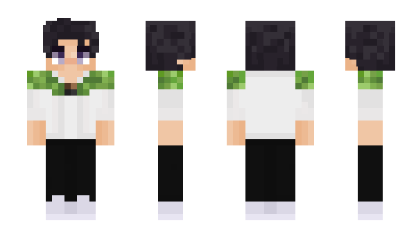 Minecraft skin Sashapoiunj