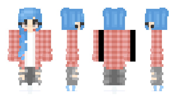 Minecraft skin BigKoala2