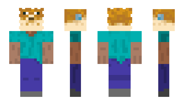 Minecraft skin pnktchen