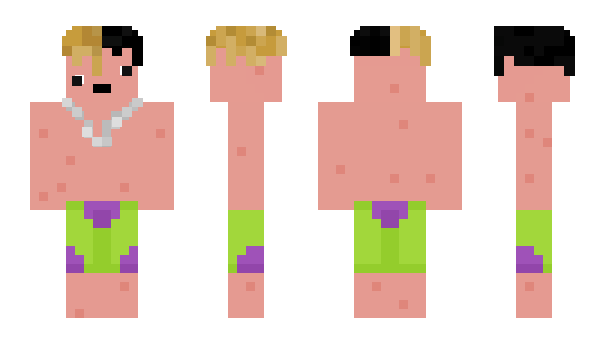 Minecraft skin gayyyy