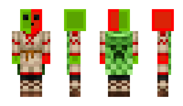 Minecraft skin _Slaim_