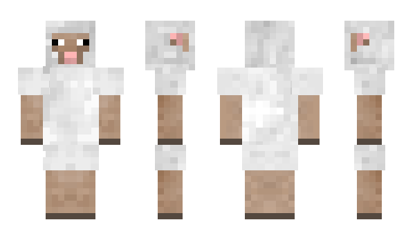 Minecraft skin Turlint