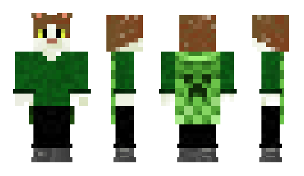 Minecraft skin Dwibs