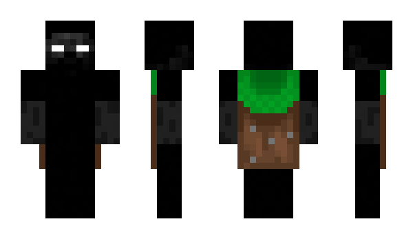 Minecraft skin Paaulyyy