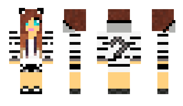 Minecraft skin Pumasun