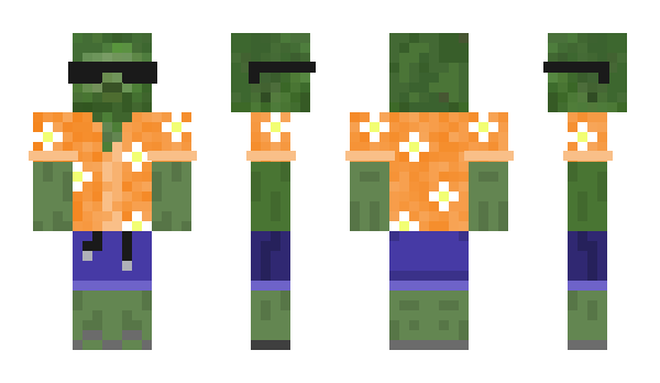 Minecraft skin Nolsa