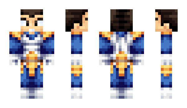 Minecraft skin MeatShield12321
