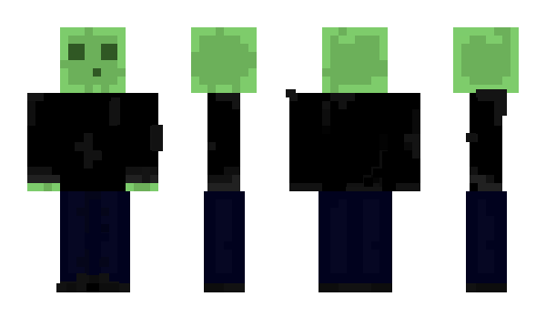 Minecraft skin sanst