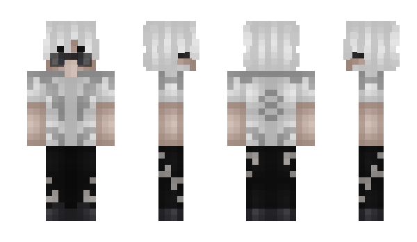 Minecraft skin shawnito_
