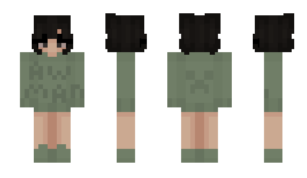 Minecraft skin sag_