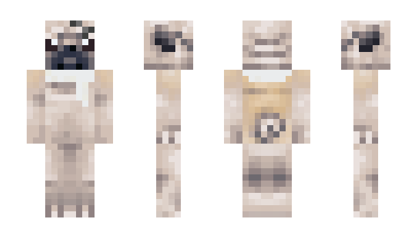 Minecraft skin papipolice