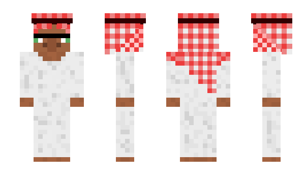 Minecraft skin SemBudweiser