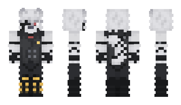 Minecraft skin TheWhiteIce1