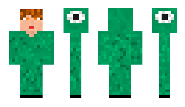 Minecraft skin FROGch