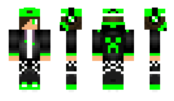 Minecraft skin Zigizigzig