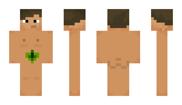 Minecraft skin Steifi