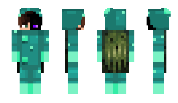 Minecraft скин по нику TeFfO01007