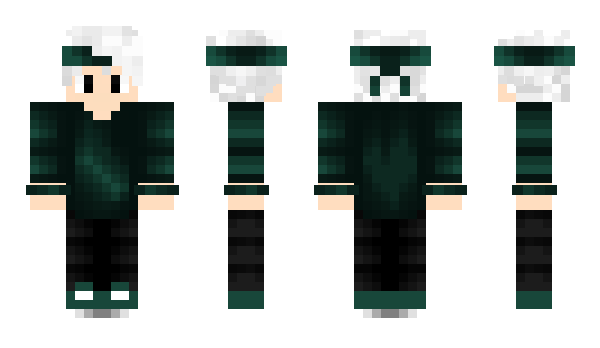 Minecraft skin CamManTv