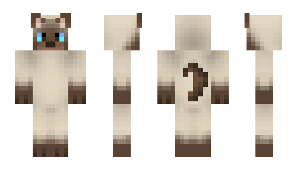 Minecraft skin dfunctpill