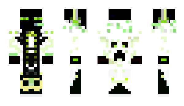 Minecraft skin kingpig1