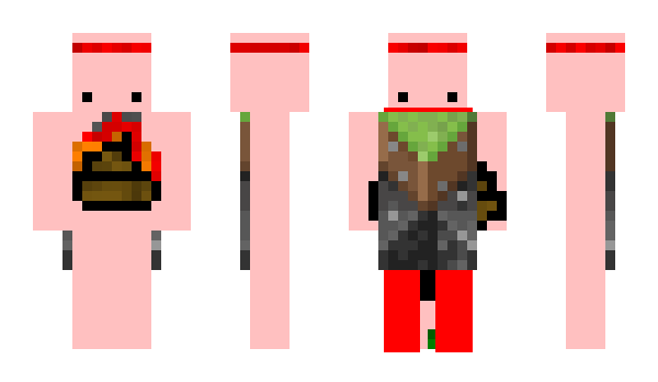 Minecraft skin Constiple