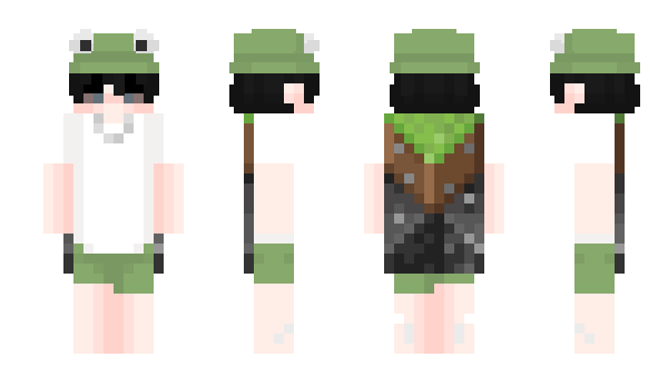 Minecraft skin Paler