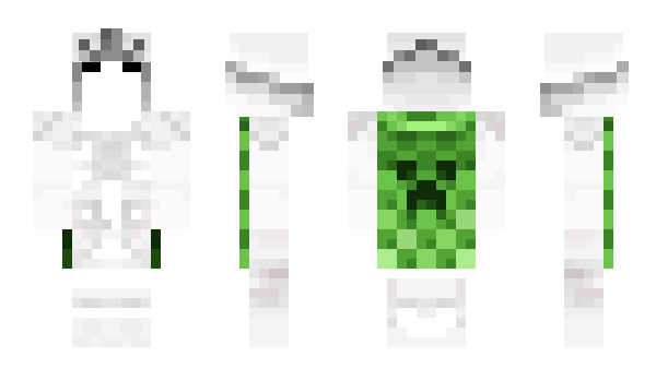 Minecraft skin 1li_
