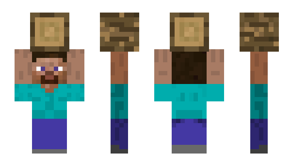 Minecraft скин по нику FETSI