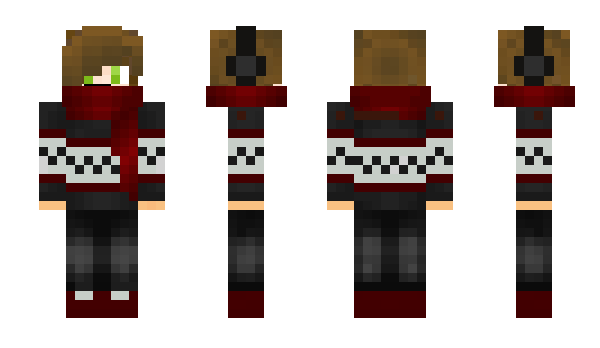 Minecraft skin Sassiska