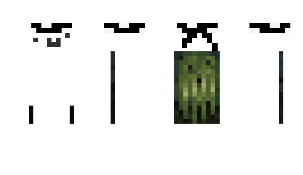 Minecraft скин по нику 77val